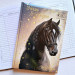 Дневник школьный ZiBi Horses В5, 48 листов, твердая обложка для девочки