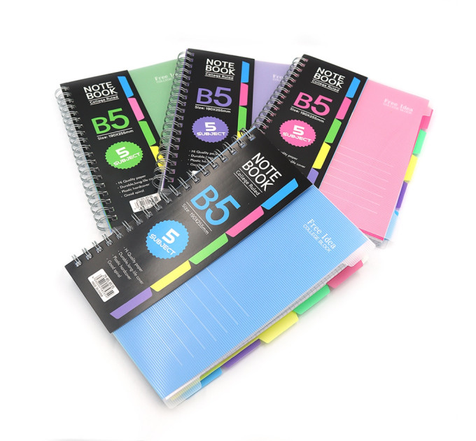Блокнот на пружині збоку B5 "Note book", 120 л. у клітинку з 5 пластиковими роздільниками, асорти