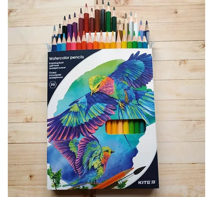 Олівці кольорові акварельні Kite Birds, 36 шт + пензлик