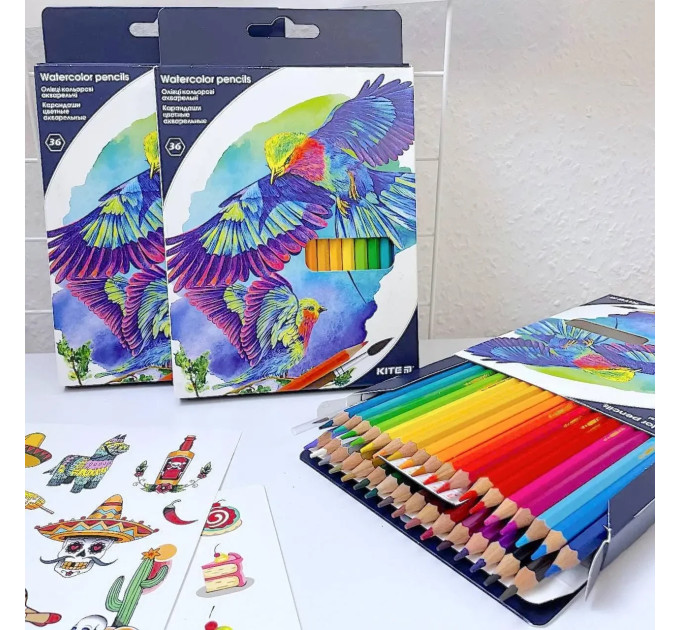 Олівці кольорові акварельні Kite Birds, 36 шт + пензлик