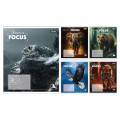 Тетрадь ученическая А5, 24 листа, клетка  "Beasts in Focus"
