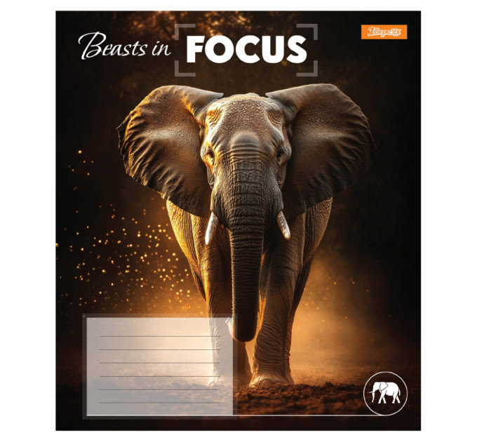 Тетрадь ученическая А5, 24 листа, клетка  "Beasts in Focus"