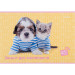 Альбом для малювання Kite Studio Pets, 12 аркушів, 100 г/м², скоба