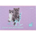 Альбом для малювання Kite Studio Pets, 12 аркушів, 100 г/м², скоба
