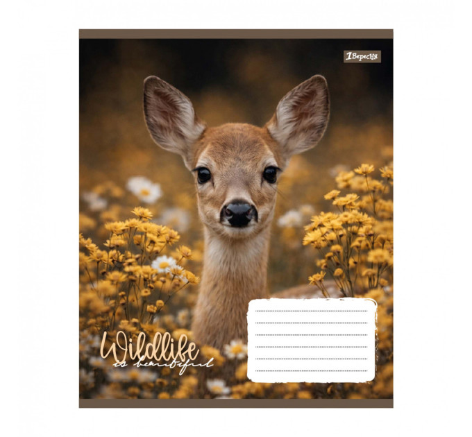 Тетрадь ученическая "Wildlife is beautiful" А5 ,24 листов, клетка