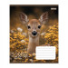 Тетрадь ученическая "Wildlife is beautiful" А5 ,24 листов, клетка