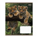Тетрадь ученическая "Wildlife is beautiful" А5 ,24 листов, клетка